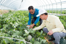 장세용 구미시장, 원예특작분야 선도농가 방문