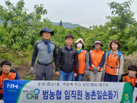 농협 영천시지부·경북지역본부, 농촌일손돕기 봉사활동 실시