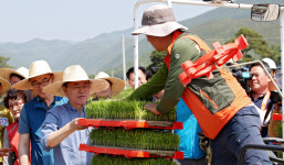 [포토] 문재인 대통령, 경주서 모내기…새참은 국수·막걸리