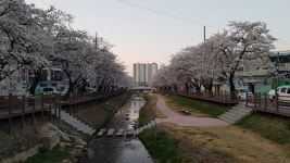 문경시 모전천, 안전하고 아름다운 소하천 공모전 최우수 선정