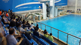 김천교육지원청, 제48회 전국소년체육대회 금3·은3·동2 획득
