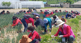 포항시, 친환경농산물 체험활동…도시 소비자 초청 녹색체험