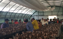 포항시, 친환경농산물 체험활동…도시 소비자 초청 녹색체험