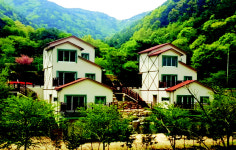 포항시 비학산자연휴양림 비수기 할인행사 인기