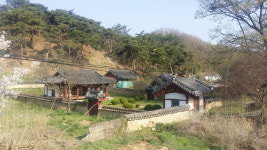 [서원] 50. 김천 자동서원