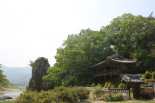 [경북의 숲] 포항 죽장면 매현 마을숲