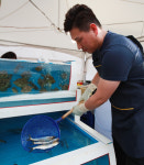 [포토] 푸짐한 싱싱 동해 수산물 진수…2019 포항 수산물 축제 현장