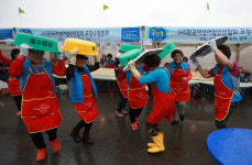 [포토] 푸짐한 싱싱 동해 수산물 진수…2019 포항 수산물 축제 현장
