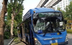 대구 시내버스 가로수 충돌…4명 병원 후송