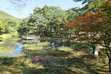 [경북의 숲] 포항 덕동 마을숲