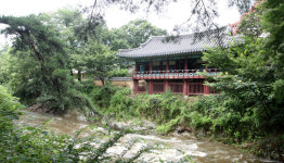 [경북의 숲] 포항 덕동 마을숲
