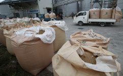 [포토] 포항 흥해농협라이스센터, 길게 늘어선 수매 행렬