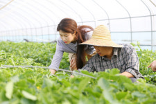 [관광레저시대 성주&] 가야산·낙동강 접해 천혜의 자연 먹고 자란 농·특산물 즐비