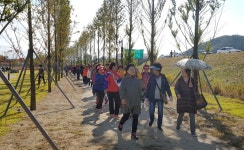 영천 서부동체육회, 서부동민 걷기대회·화합한마당 행사 성료