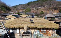[포토] 분주한 양동민속마을…새 짚으로 이엉잇기 작업