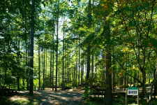 [경북의 숲] 봉화 청옥산 생태경영림