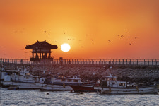 해맞이 영덕 축산항·강원 공현진항…해넘이 부산 다대포항·화성 구평항