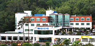 시민참여단 252명 합숙…대구 신청사 22일 확정