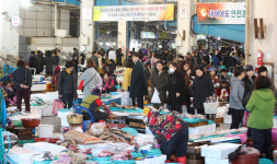 [포토] 포항 죽도어시장 모처럼 활기