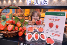 대구백화점 프라자점, 달걀보다 더 큰 아라향 딸기 출시