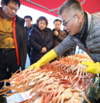 [포토] 포항 죽도시장서 손님 붙잡는 대게