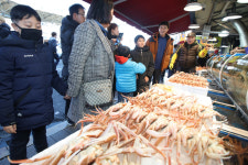 [포토] 포항 죽도시장서 손님 붙잡는 대게