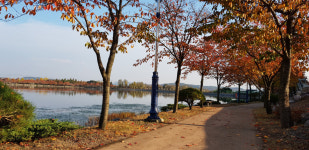 [설레는 설 영천&] 별별재미 가득한 영천으로 오세요