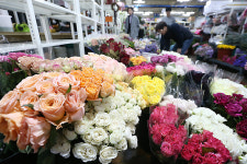 신종 코로나 때문에…대목맞은 화훼업계 울상