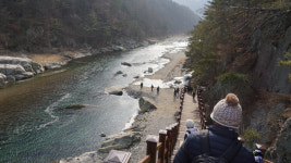 [힐링&트레킹] 1. 낙동강 세평 하늘길