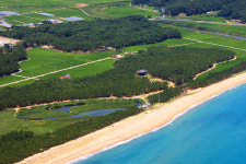 [경북의 숲] 울진 월송정