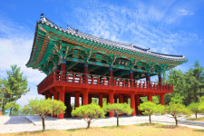 [경북의 숲] 울진 월송정