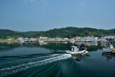 [경북의 숲] 울진 월송정