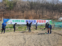 대구 화원농협 주말농장 개장