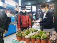 한국도로공사 성주(양평)휴게소, 다육이 나눠주기 행사 호응