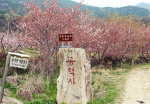 [팔공산을 걷다] 7. 예전엔 있었지만, 지금은 사라진 것 그 자취에 숨결 불어 넣으며