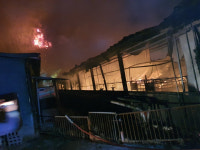 성주군 선남면 돼지농장 화재…2800마리 폐사