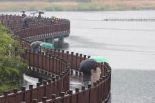 [포토] 월광수변공원 찾아 봄비 만끽하는 대구시민들