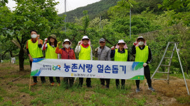 농협청도군지부, 영농철 청도읍 통안마을 농촌일손돕기
