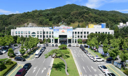 김천시, 야생동물 피해 병원 치료비·사망위로금 보상제도 시행