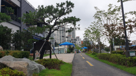 포항 철길숲, 지역 경제 활성화 마중물 효과 톡톡