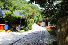 [팔공산을 걷다] 14. 다양한 공생이 이루어지는 숲은 향기도 가지각색