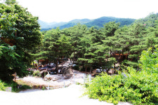 [팔공산을 걷다] 14. 다양한 공생이 이루어지는 숲은 향기도 가지각색