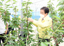 문경 농업·체험·문화 함께 어우러진 경북 대표 도농복합 관광도시로