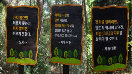 [비대면 힐링 관광] 안동 영지산 산림욕장, 안동호 바라보며 지친 마음 치유