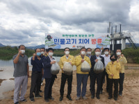 김천시, 직지천 일대 미꾸라지 치어 5만마리 방류