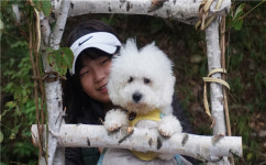 영양군 검마산자연휴양림, 반려견 쉼터 조성