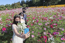 [포토] 코스모스 배경으로 웨딩사진 찰칵…대구웨딩박람회 웨딩페스티벌