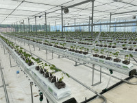 영양군, 경영실습임대농장사업소 6개소 선정…사업비 18억 확보