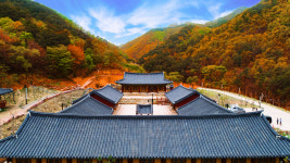영덕군 인문힐링센터 여명, 한국관광공사 2020 웰니스 관광지 선정