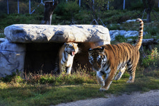 [문화&관광 경북을 만나다] 봉화